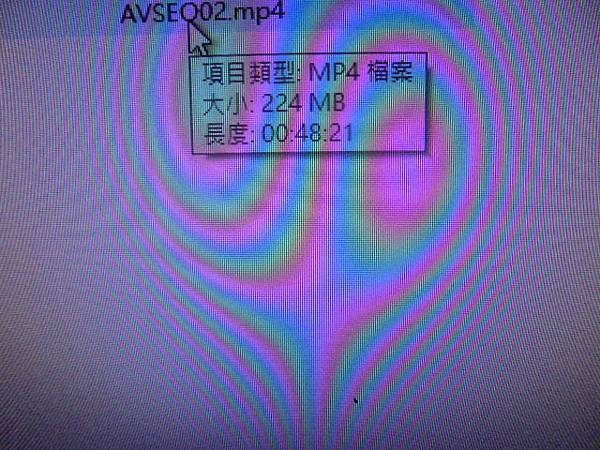 【影片類型】民國81年4月23日拍攝迎娶與婚宴的錄影帶已於