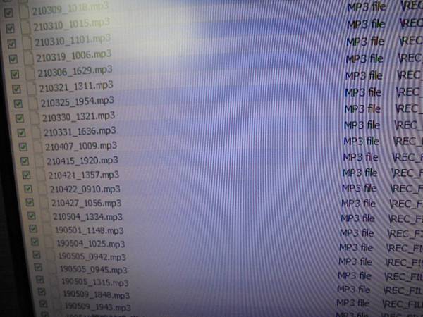 【LINE詢問】SONY索尼ICD-UX560F4GB錄音