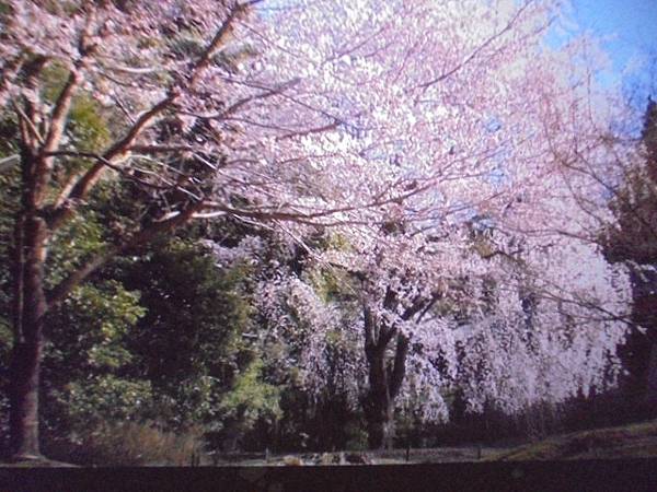 【到府取件】Sapido傻多CM790x數位電視雲端多媒體