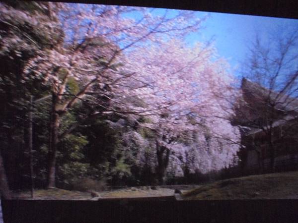 【到府取件】Sapido傻多CM790x數位電視雲端多媒體