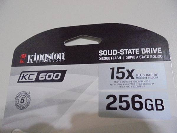 【五年保固】Kingston金士頓KC600固態硬碟256G