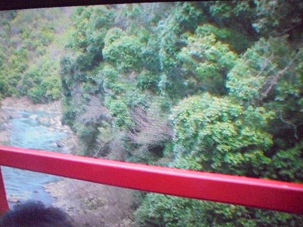 【正確播放】Sapido傻多CM790x數位電視雲端多媒體