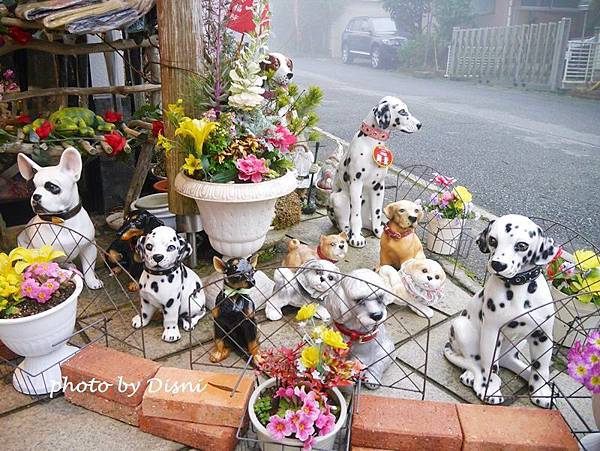 2-11 (2).JPG 2-11 (2).JPG