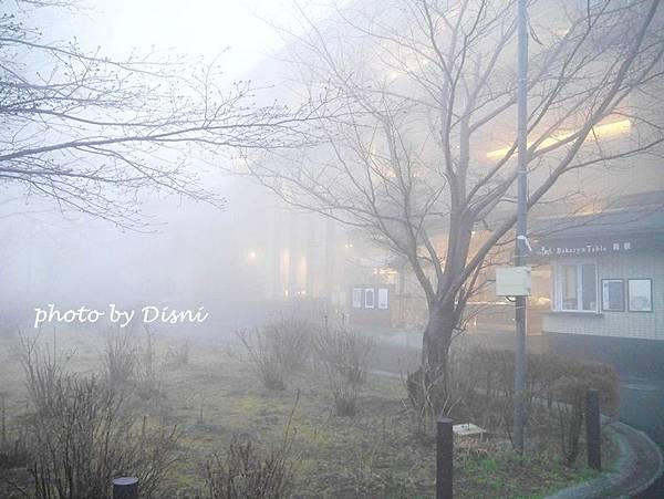 2-13 (16).JPG 2-13 (16).JPG