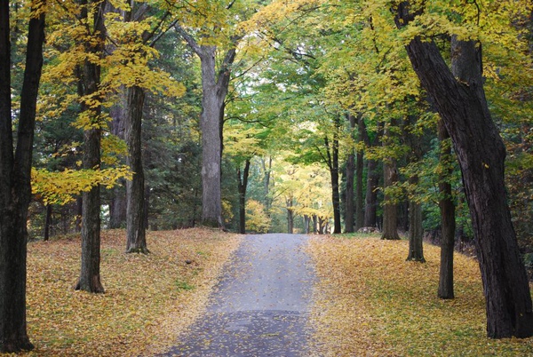 Hudson Valley in October (Indrek)