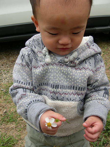 野薑花生態農場 035.jpg