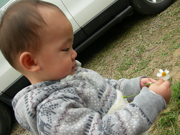 野薑花生態農場 037.jpg