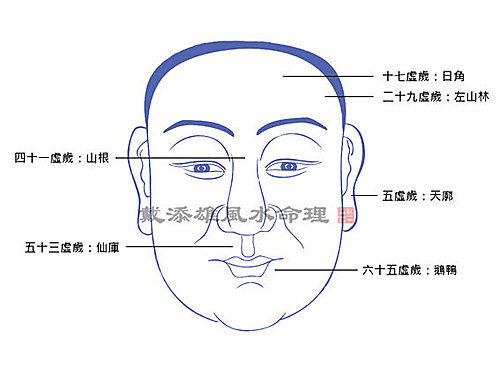 面無好痣 14甲午馬年運程之凶痣面相圖 肖虎 肖兔 戴添雄風水命理館的博文 Theztyle Com 面無好痣 14甲午馬年運程之凶痣面相圖 肖虎 肖兔 戴添雄風水命理館的博文 Theztyle Com