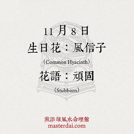 366天誕生花 11月8日 戴添雄風水命理館 痞客邦