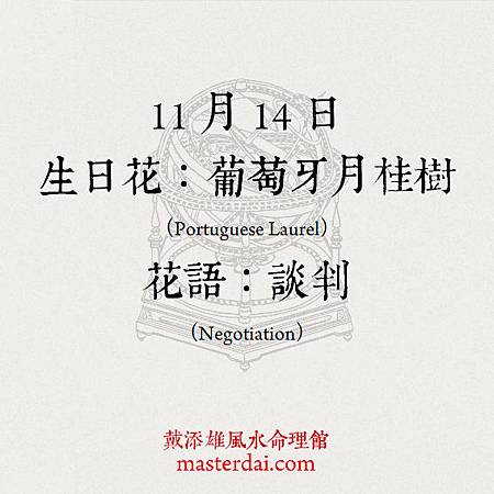 366天誕生花 11月14日 戴添雄風水命理館 痞客邦