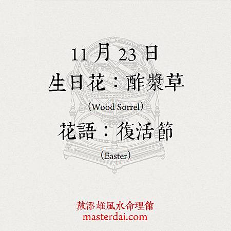 366天誕生花 11月23日 香港風水網 366天誕生花 11月23日 香港風水網