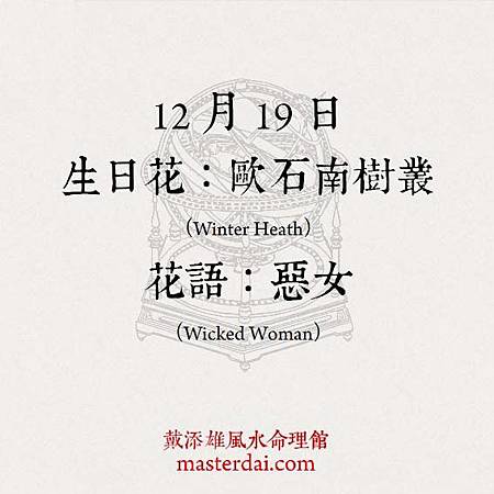 366天誕生花 12月19日 戴添雄風水命理館 痞客邦