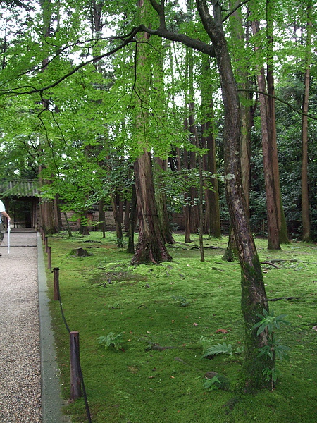 DSCF3835.JPG