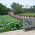 蓮花公園的木橋