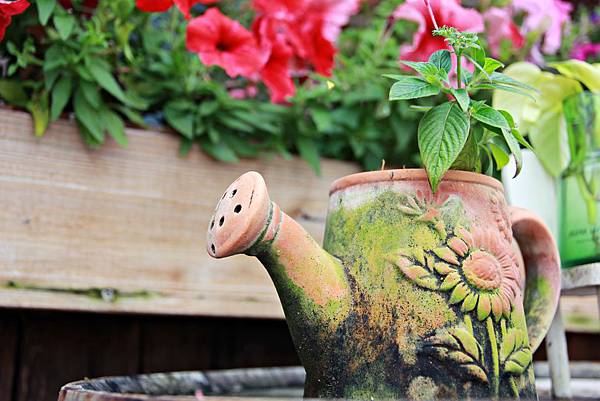 IMG_1790.JPG IMG_1790.JPG