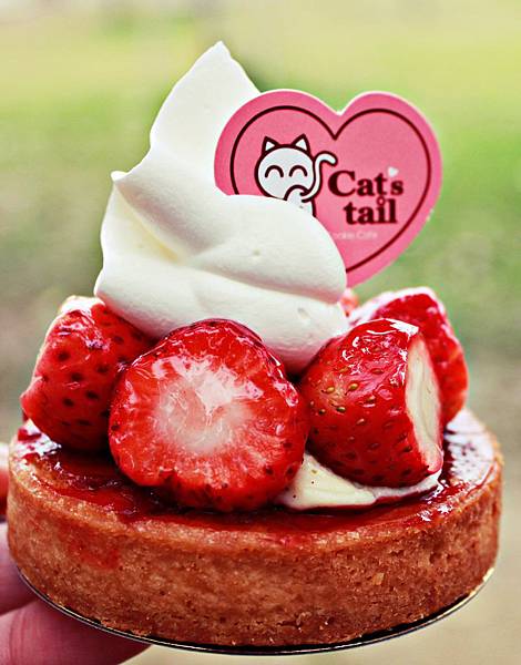 IMG_6528.jpg IMG_6528.jpg