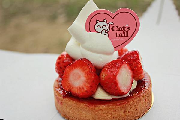 IMG_6535.JPG IMG_6535.JPG