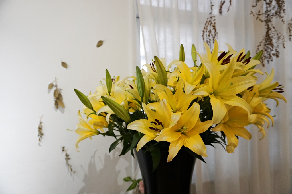 DSC01985.JPG DSC01985.JPG