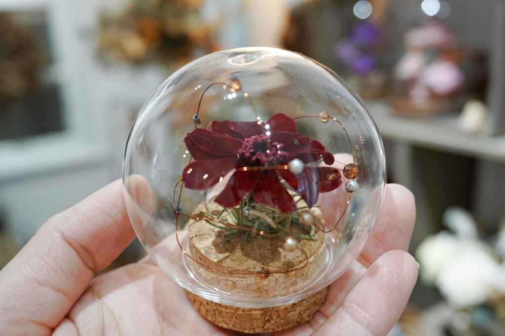 DSC02009.JPG DSC02009.JPG