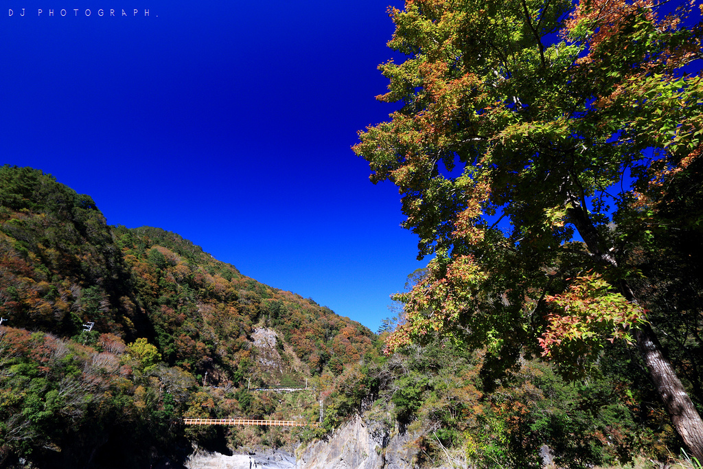 IMG_8766.JPG IMG_8766.JPG