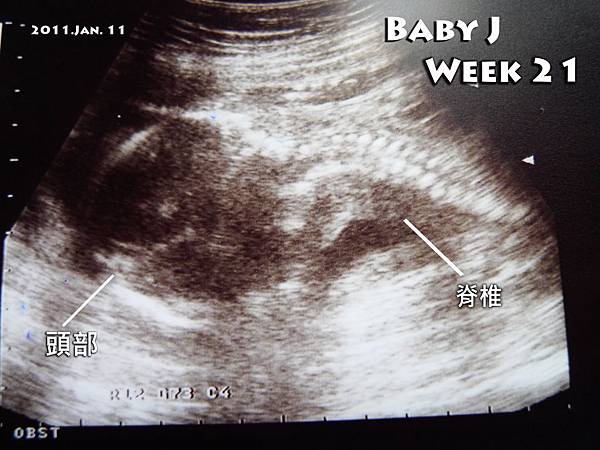 Baby J Week 21.jpg