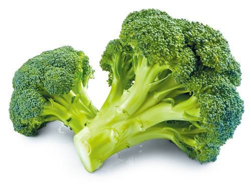 蔬菜保存方式 花椰菜 刷子的部落格 痞客邦