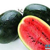 Eating watermelon does not spit the seed well, watermelon juice need to remove watermelon seeds?2