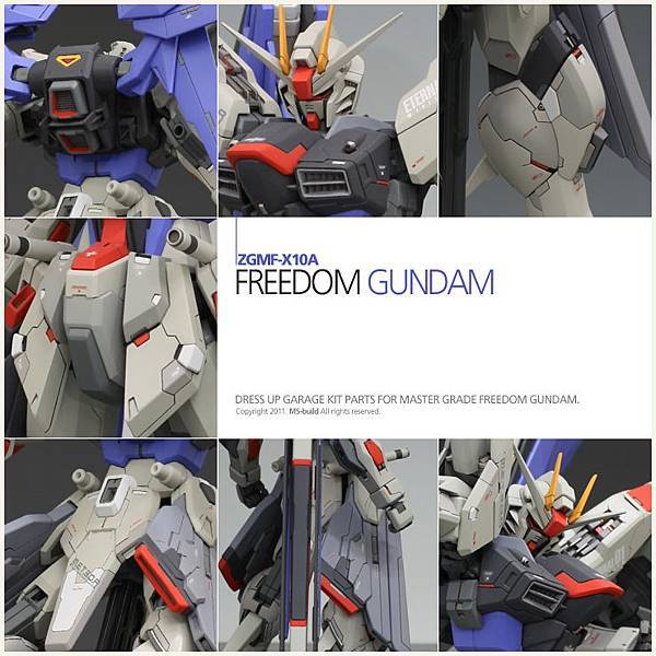 contents-point_freedom