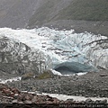 Fox Glacier