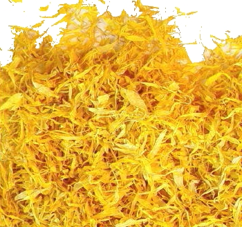 marigold006.jpg