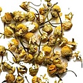 chamomile006.jpg