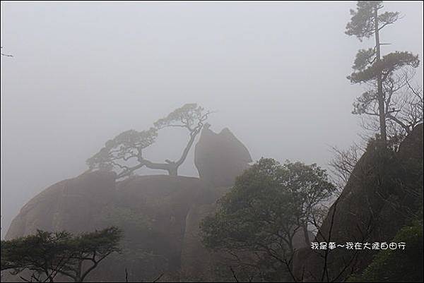 上海蘇杭黃山九天55.jpg