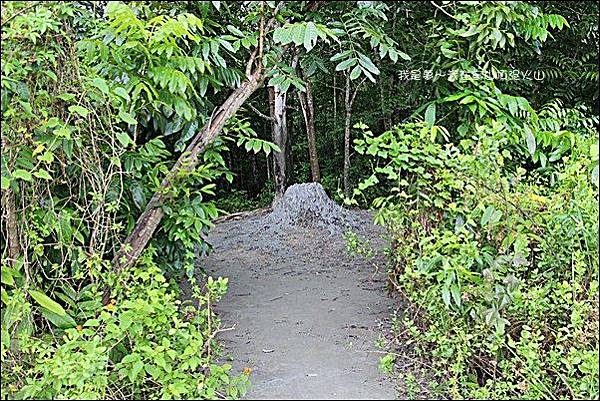 烏山頂泥火山17.jpg 烏山頂泥火山17.jpg