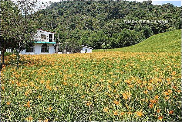 赤柯山加蜜園29.jpg