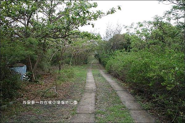 援中港溼地公園22.jpg