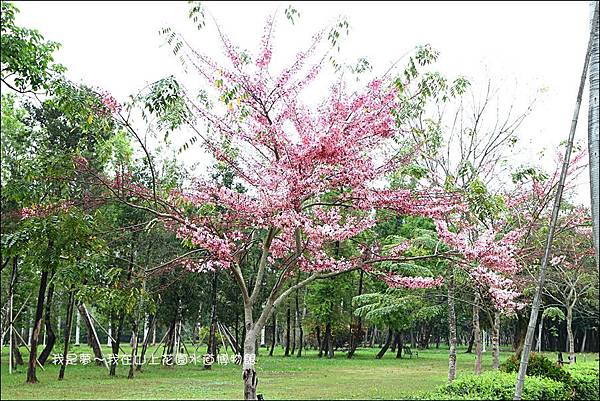 山上花園水道博物館08.jpg