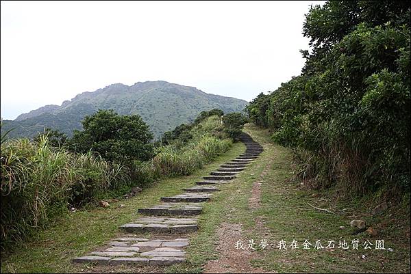 金瓜石地質公園05.jpg