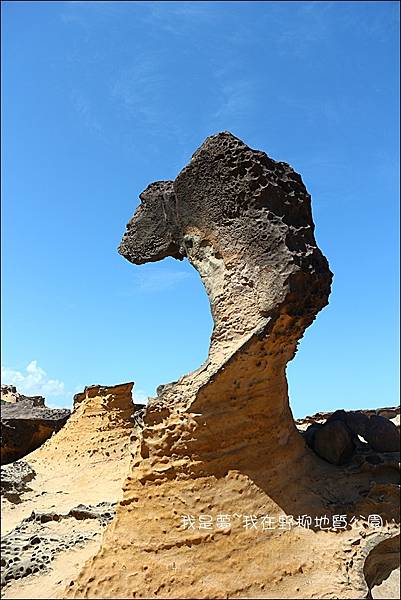 野柳地質公園46.jpg