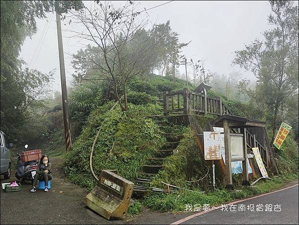 武岫農場+銀杏森林08.jpg