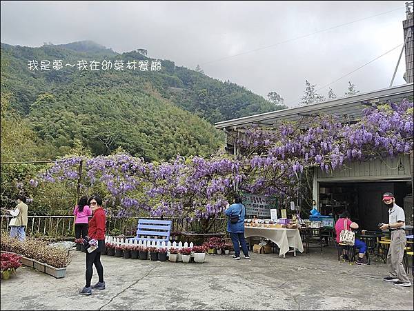 幼葉林餐廳02.jpg