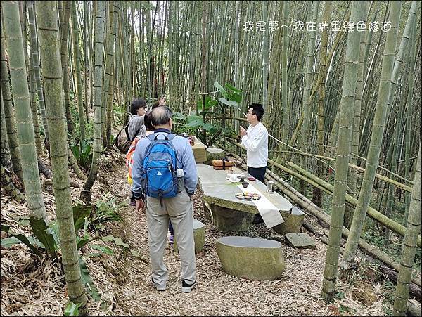 瑞里綠色隧道09.jpg