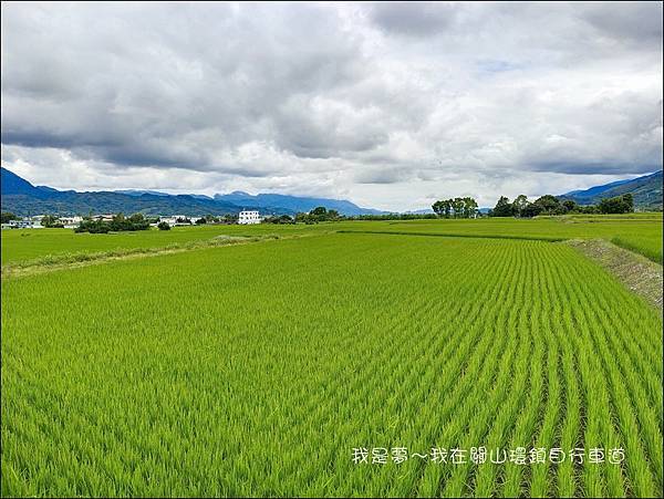 關山環鎮自行車道07.jpg