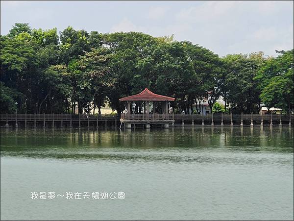 天鵝湖公園08.jpg