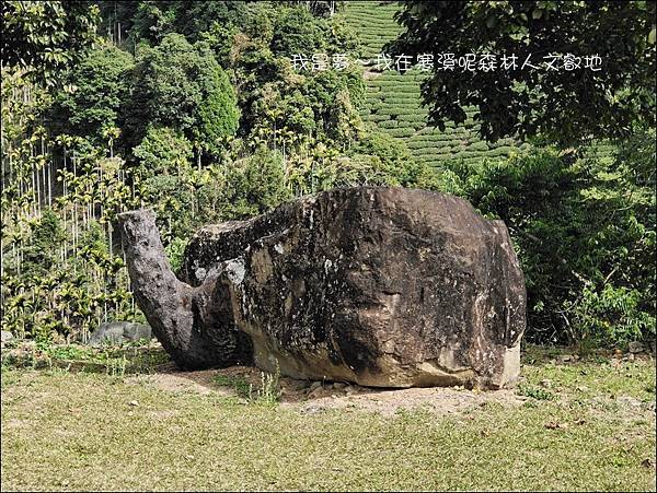 寒溪呢森林人文叡地14.jpg