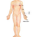 Jx-12-xinbao