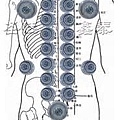 th (26)