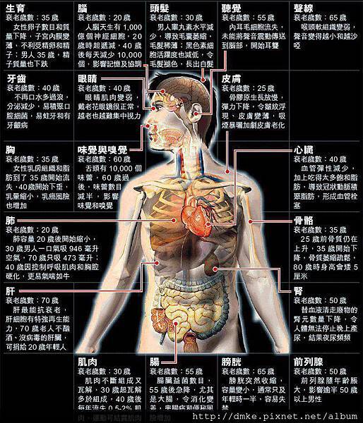 pic。器官的衰老退化時間表