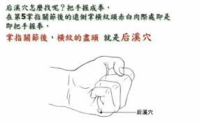 「後溪穴」的圖片搜尋結果