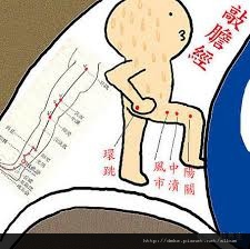 「敲膽經治療慢性病」的圖片搜尋結果