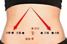 「天樞穴,大橫穴」的圖片搜尋結果